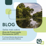 21 de Setembro – Dia da Árvore: a Importância das Árvores nas Áreas de Preservação Permanente